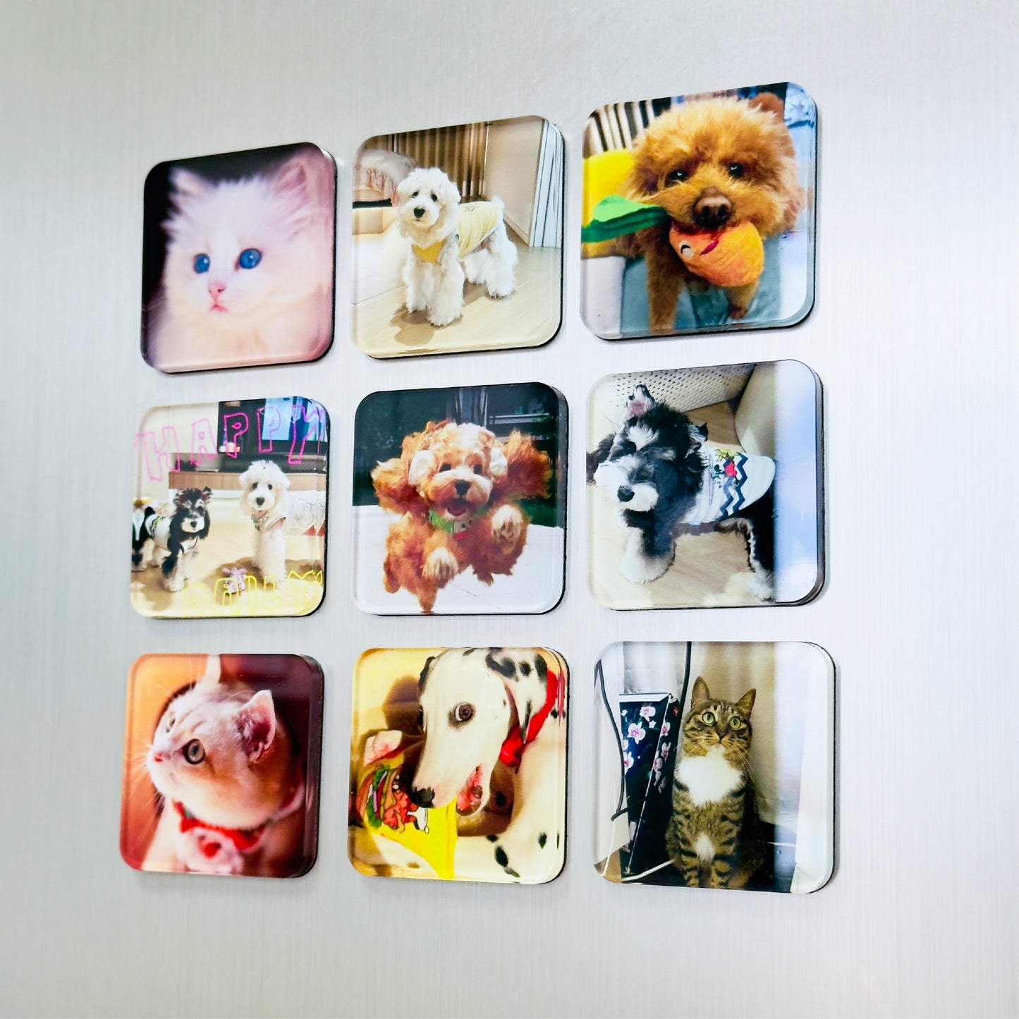 Personalized Pet Photo Fridge Magnets (3-Pack)