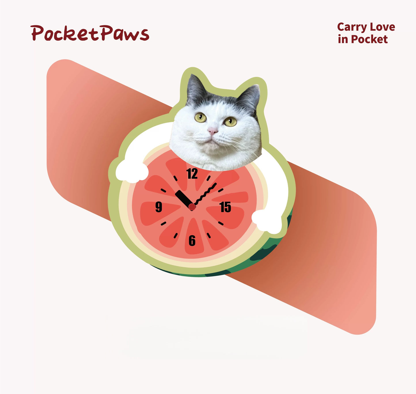 Custom Pet Photo wall Clock--Watermelon style