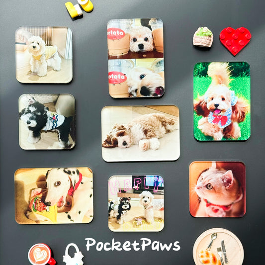 Personalized Pet Photo Fridge Magnets (3-Pack)