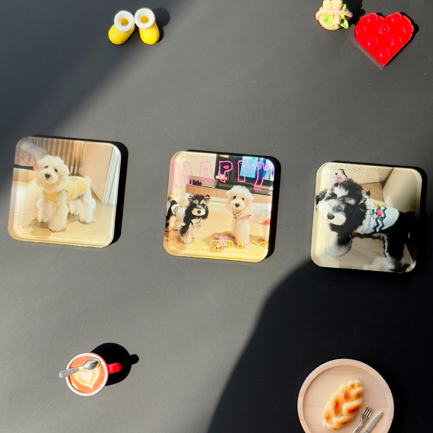 Personalized Pet Photo Fridge Magnets (3-Pack)